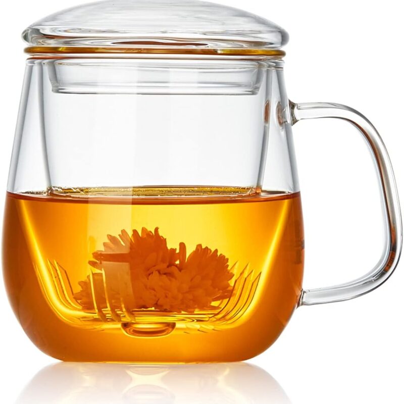 Glass Tea Cup with Infuser and Lid, 17.6oz/520ml Large Borosilicate Teacup,Tea Glass, Clear Mug for Loose Leaf Tea, Blooming Tea, Microwave & Dishwasher Safe - Tea Maker Gift...